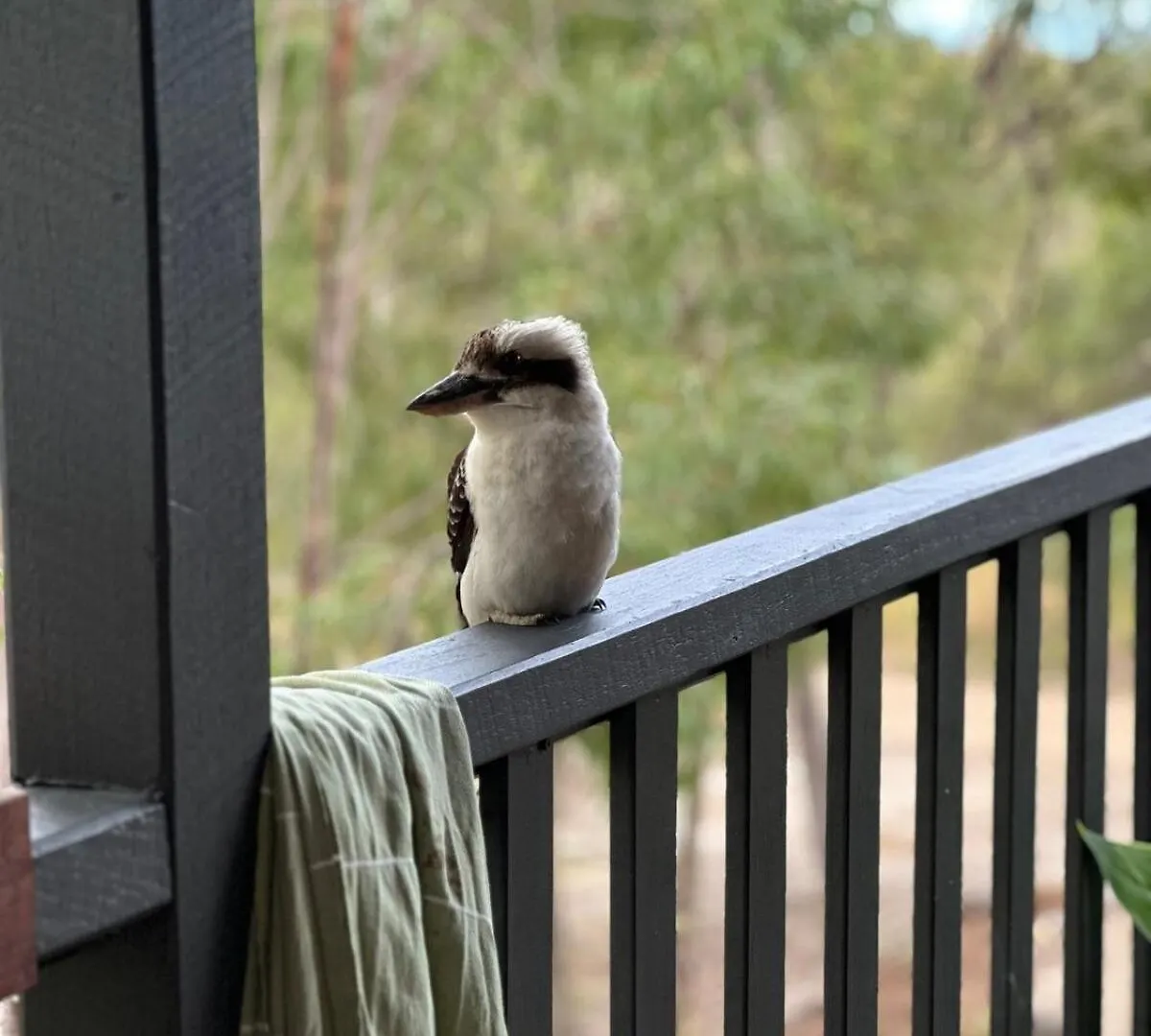 Ocean & Earth Cottage - Pay 3 Stay 4 Nights In Feb Agnes Water 0*,  Australia